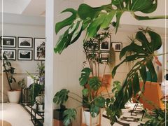 -一尺花园(安和花园店)