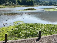 -九鲤湖风景区