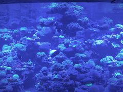 -太平洋海底世界