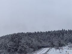 -武陵山森林公园