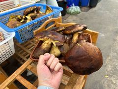 -草墩罗非鱼庄•野生菌•腊排骨(七星街上段店)