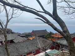 -泰山风景名胜区