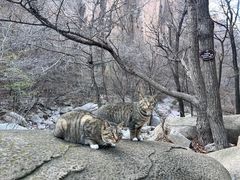-崂山九水游览区
