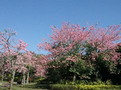 景点-风云岭森林公园