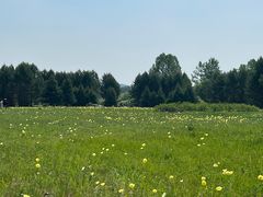 -北极村旅游风景区