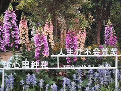 -南宁南湖公园