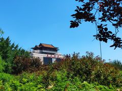 -莲花池公园