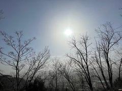 -柳沟豆腐宴义豆堂24号农家院