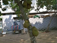 -东寨港红树林旅游区