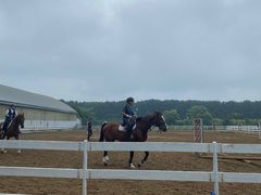 -月河湾马术俱乐部(朝阳店)