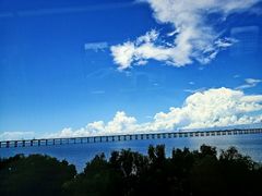 -宝安西湾红树林湿地公园