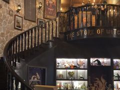 -雪灵魔法世界SHELLY’S TAROT(大良桂畔里店)