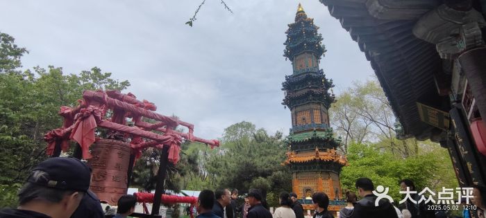 沈阳植物园图片