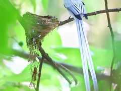 -桤木河湿地公园