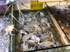 -珠光市场(文德南路)