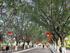 -广东花都湖国家湿地公园
