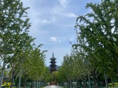 -龙华素斋(龙华路店)