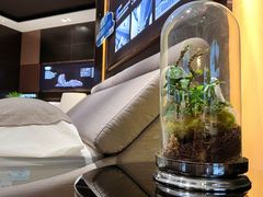 -慕思床垫·全屋家具家居定制(亿联三楼店)