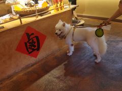 -田小狗的饭店(才子佳郡店)