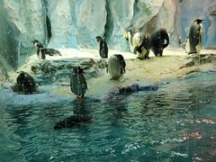 -帝企鹅自助餐厅•儿童岛•真企鹅(长隆企鹅酒店)