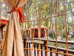 -二荆条·蜀鲜汇城市森林火锅