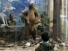 -国家自然博物馆