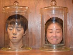 -信不信由你博物馆