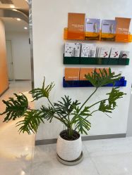 -彼家美创·量肤定制修护管理