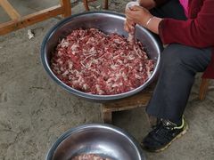 -遇龙河大樟树农家乐