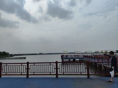 -鹅湖玫瑰文化园