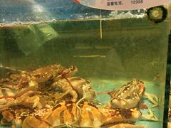 -快乐海鲜酒楼(滇池路店)