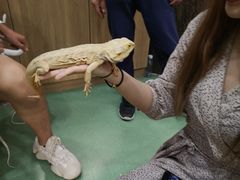 -藦茜花园宠物主题亲子互动体验馆(国顺东路店)