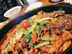 -老板恋上鱼(恒隆广场店)