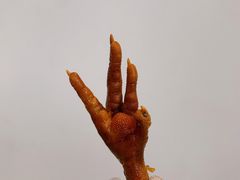 招牌卤鸡脚-鸡脚旮旯平江路店