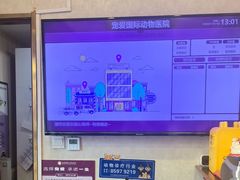 -宠爱国际动物医院·疑难骨科·心肾内科·皮肤科(太阳宫店)