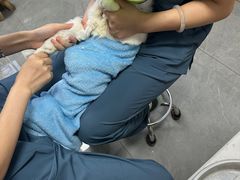 -贝利宠物医院·骨科·眼科·肿瘤转诊中心(南坪诊疗中心)