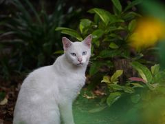 -苏州河梦清园环保主题公园