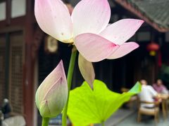 -海窝子古镇