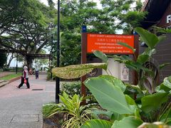 -东海岸人工湖美食村