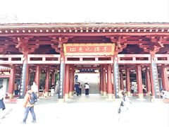 -庐山风景名胜区-东林大佛