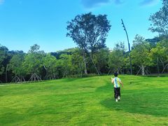-莲花山公园