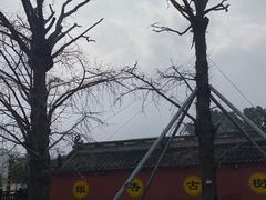 -上海财神庙