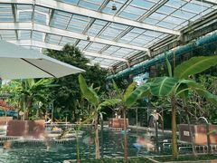 -观唐（国际）度假村温泉