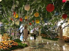 -拉斯维加斯永利酒店