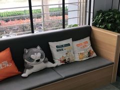 -pd派德宠物中心医院24H急重症·眼科中心·血液透析中心(嵩山北路店)