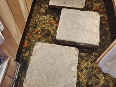 -邈墨茶馆(凤起路店)