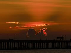 -宝安西湾红树林湿地公园