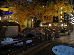 -淀里船宴(裕华东路店)