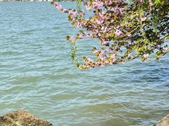 -东钱湖旅游度假区