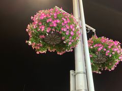 -渔中舟海鲜大排档(普陀沈家门店)